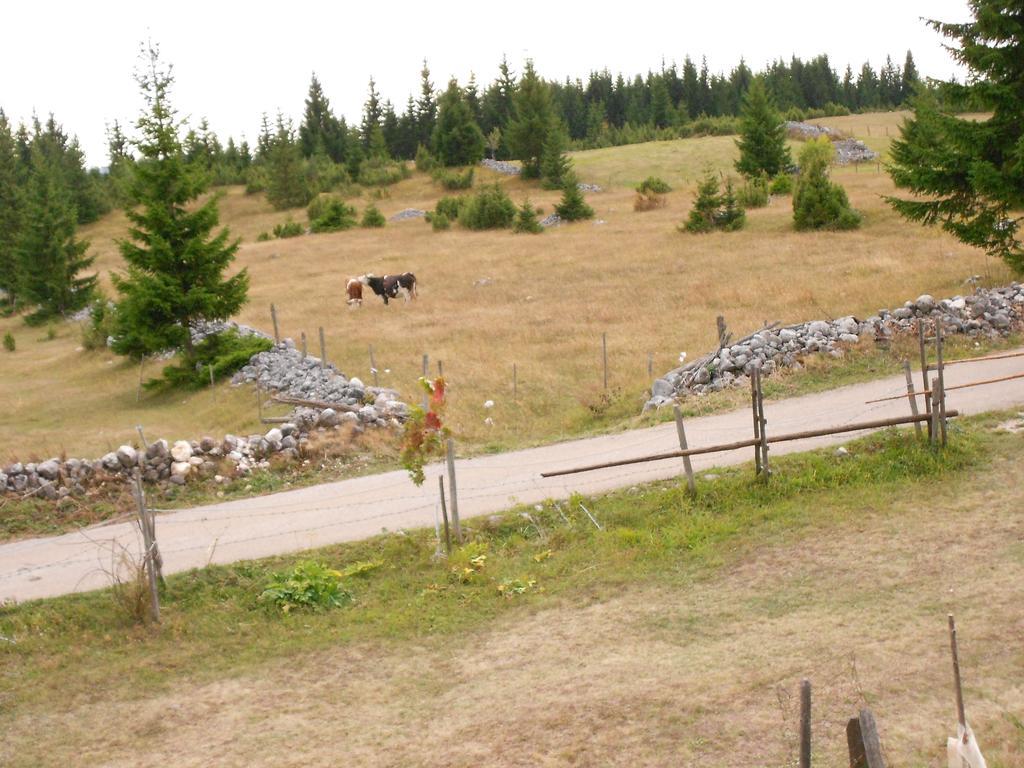 Zabljak Izdavanje Kuce Extérieur photo
